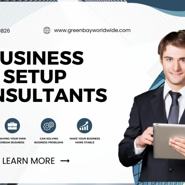 Business Setup Consultants