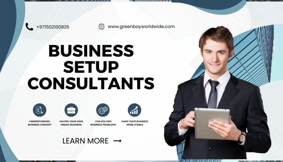 Business Setup Consultants