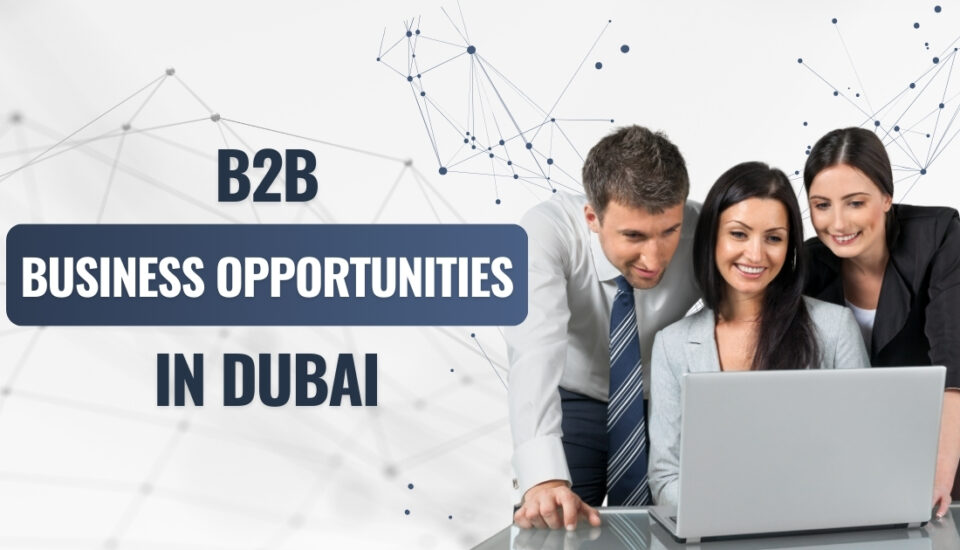 B2B Business Opportunities in Dubai