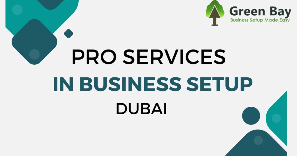 PRO Services in Business Setup