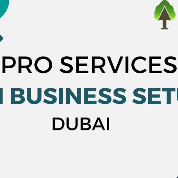 PRO Services in Business Setup