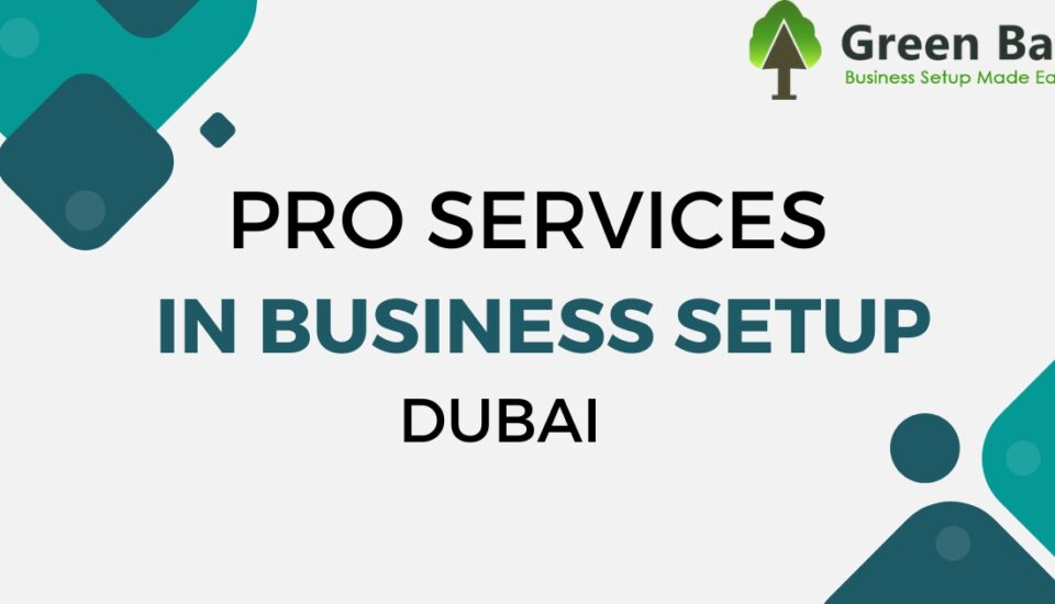 PRO Services in Business Setup